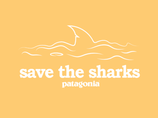 Patagonia-Save The Sharks Campaign